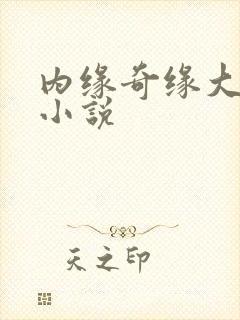 内缘奇缘大团圆小说