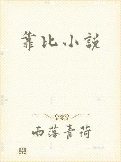 靠比小说