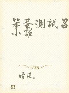 笨蛋测试召唤兽小说