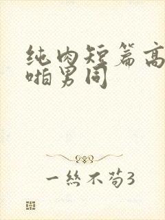 纯肉短篇高h啪啪男同