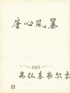 唐心风暴