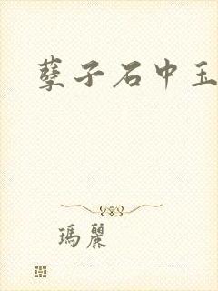 孽子石中玉