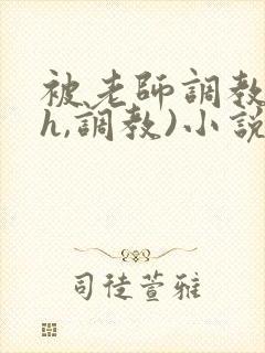 被老师调教(高h,调教)小说