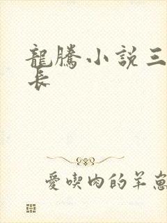 龙腾小说三宝局长