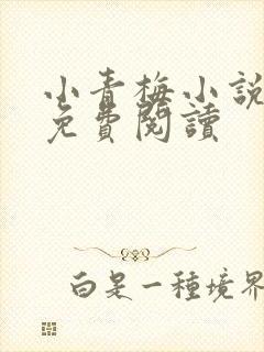 小青梅小说全文免费阅读