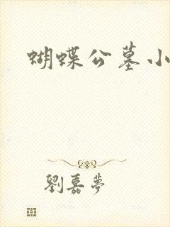 蝴蝶公墓小说封面