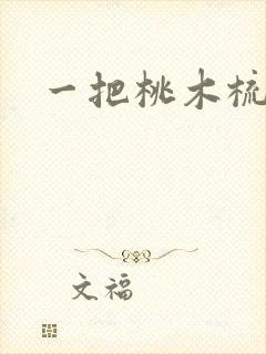 一把桃木梳封面