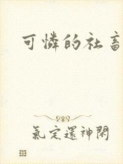 可怜的社畜小说封面