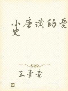 小唐璜的爱情历史封面