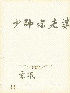 少帅你老婆
