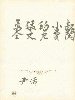 勇猛的小叔小说全文免费阅读