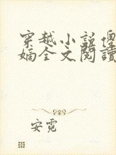 穿越小说傻王夺嫡全文阅读