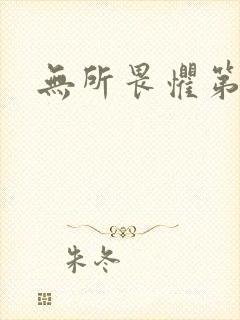 无所畏惧第二部封面