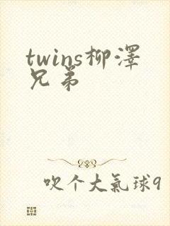 twins柳泽兄弟
