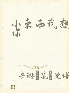 小东西我想弄坏你