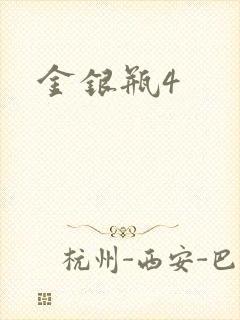 金银瓶4封面