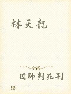 林天龙封面