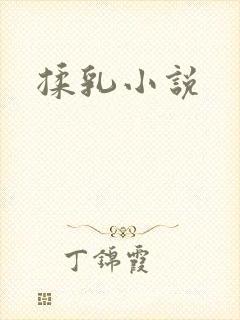 揉乳小说
