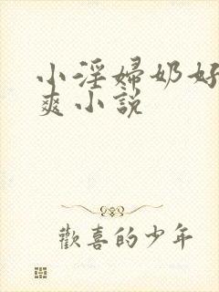 小淫妇奶好大好爽小说封面