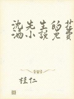 沈先生的花式调酒小说免费阅读