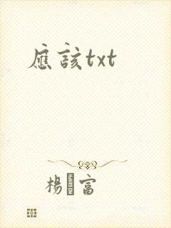 应该txt
