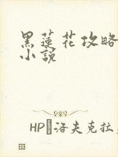 黑莲花攻略手册小说封面