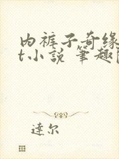 内裤子奇缘txt小说 笔趣阁封面