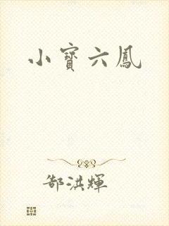 小宝六凤封面