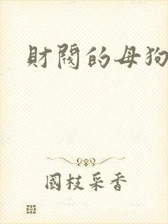 财阀的母狗们