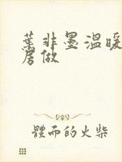 叶非墨温暖在厨房做