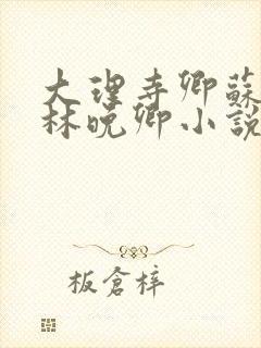 大理寺卿苏陌忆林晚卿小说笔趣阁封面