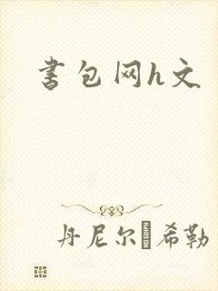 书包网h文