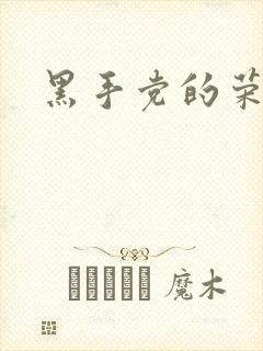 黑手党的荣耀封面