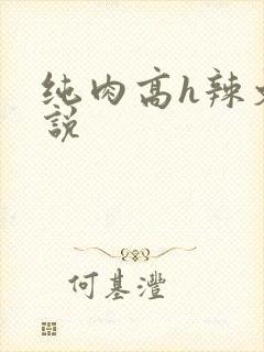 纯肉高h辣文小说
