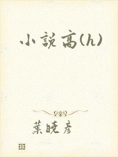 小说高(h)封面