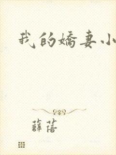 我的娇妻小说封面
