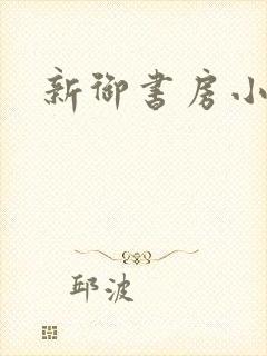 新御书房小说封面