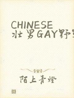 CHINESE壮男GAY野战强迫TUBE