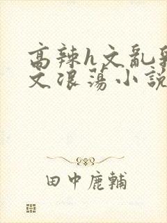 高辣h文乱乳h文浪荡小说苏卿