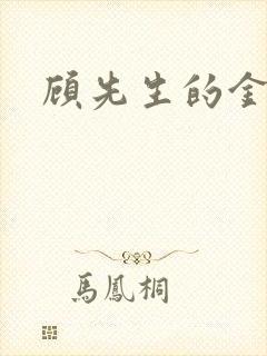 顾先生的金丝雀封面