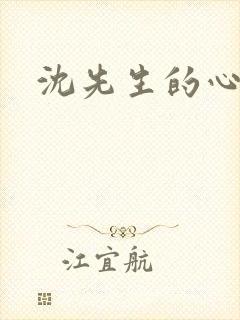 沈先生的心头宝