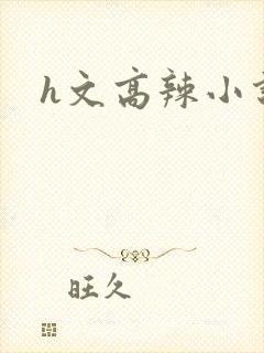 h文高辣小说