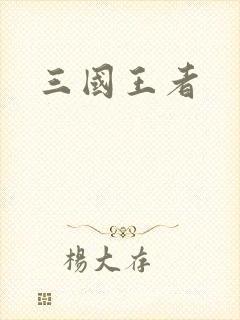 三国王者封面