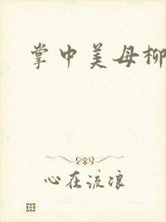 掌中美母柳玉茹封面