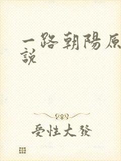 一路朝阳原著小说