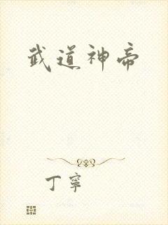 武道神帝封面