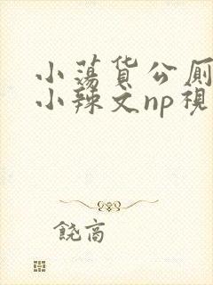 小荡货公厕h文小辣文np视频封面