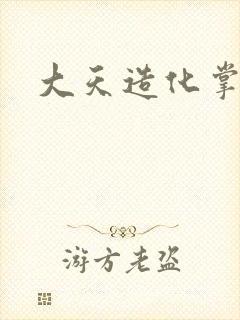 大天造化掌封面