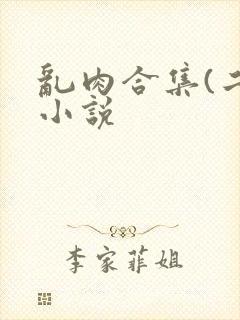 乱肉合集(二)小说封面