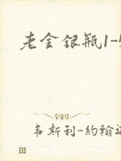 老金银瓶1-5